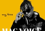 Music: Mac Voice Ft Leon Lee & Rayvanny - Pombe AUDIO Download