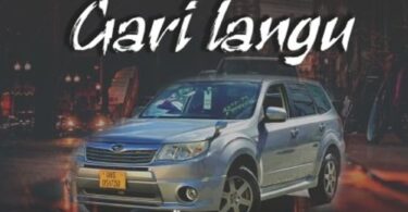 Music: Dulla Makabila - Gari Langu AUDIO Download