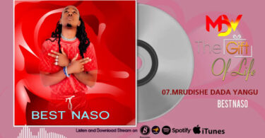 Music: Best Naso - Mrudishe Dada Yangu AUDIO Download