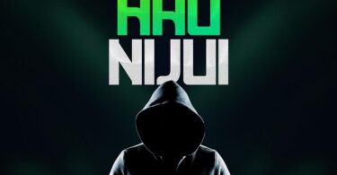 Music: Nay Wa Mitego - Hunijui AUDIO Download