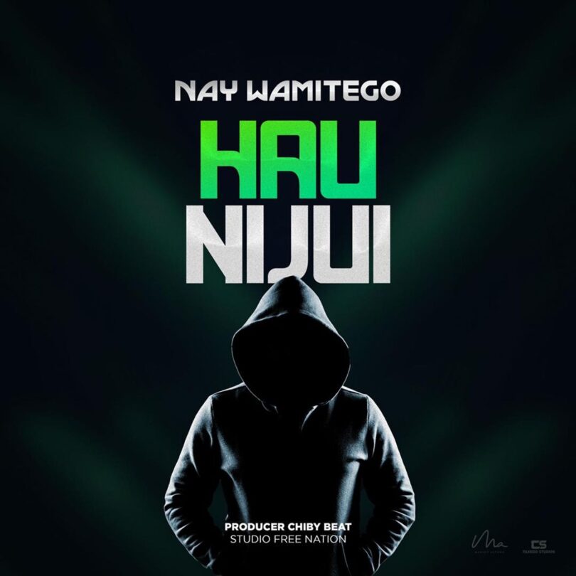 Music: Nay Wa Mitego - Hunijui AUDIO Download