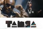 Music: Nonini Ft Chege Chigunda - Tanga AUDIO Download