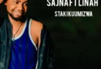 Music: Sajna Ft Linah - Sitaki Kuumizwa AUDIO Download