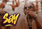 Music: Country Wizzy - Say AUDIO Download