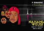 Music: P Mawenge - Nahamia Weusi AUDIO Download