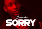 Music: Barnaba - Sorry AUDIO Download